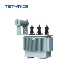 TSTYNICE 15 kV Transformateur de puissance immergé d'huile