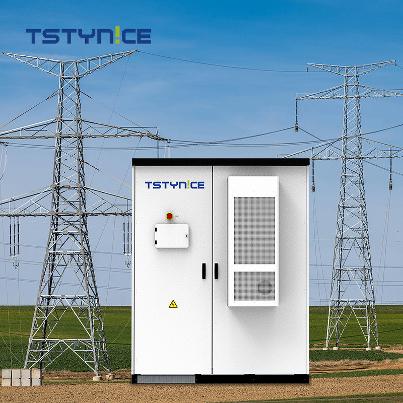 خزانة تخزين الطاقة TSTYNICE بقدرة 100 كيلو وات في الساعة