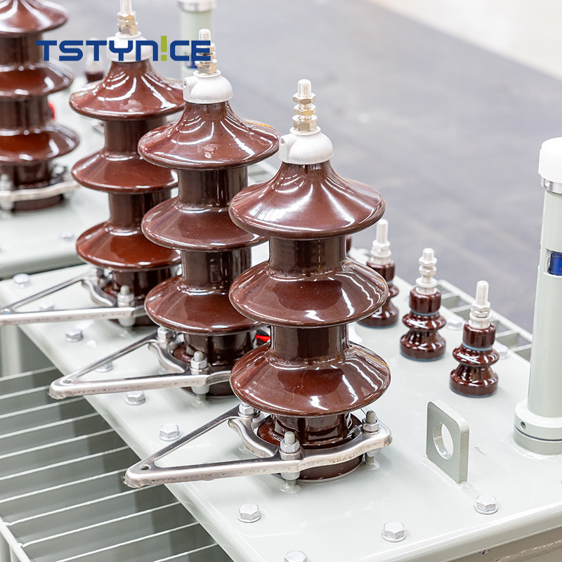 Масляный силовой трансформатор TSTYNICE 22 кВ