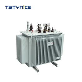 Transformador de potencia sumergido en aceite TSTYNICE de 10 kv